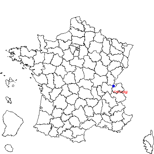 localisation sur le carte de cessy 