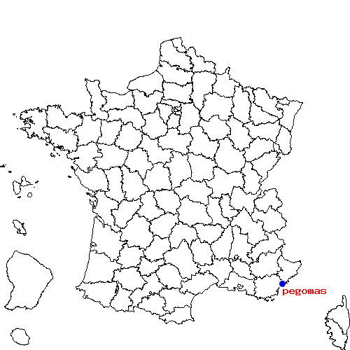 localisation sur le carte de pegomas 