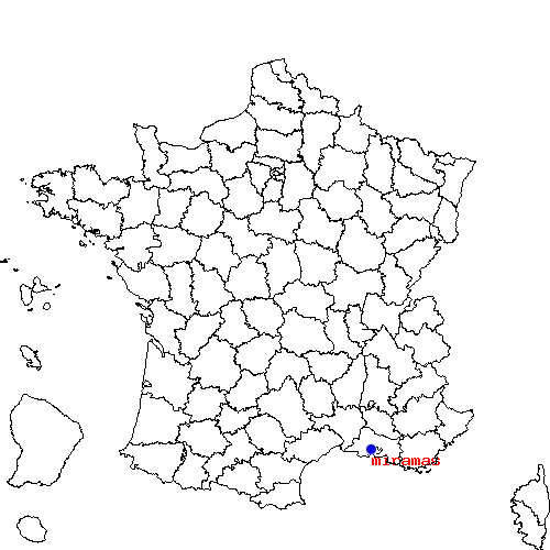 localisation sur le carte de miramas 