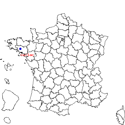 localisation sur le carte de callac 