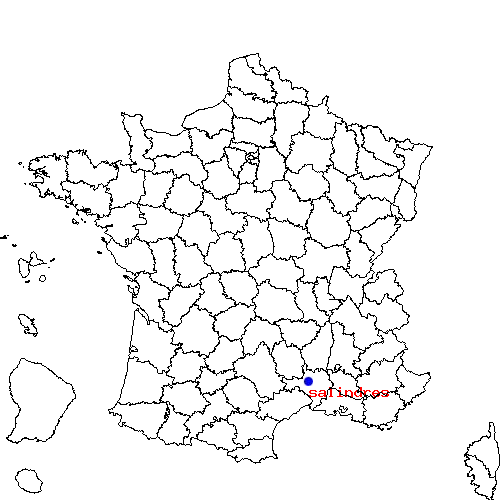 localisation sur le carte de salindres 