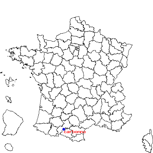 localisation sur le carte de carbonne 