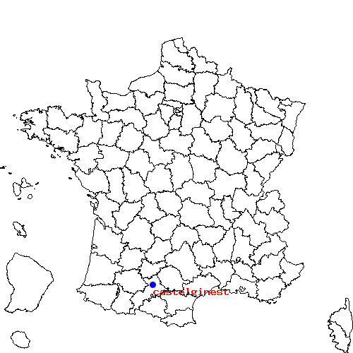 localisation sur le carte de castelginest 