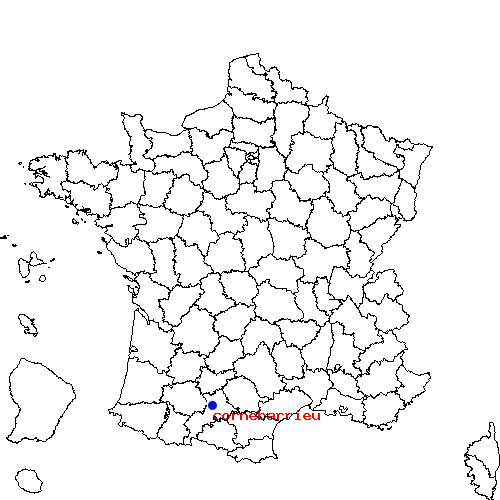 localisation sur le carte de cornebarrieu 