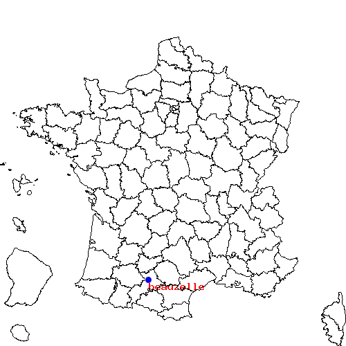 localisation sur le carte de beauzelle 