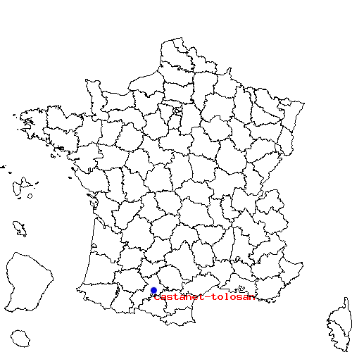 localisation sur le carte de castanet-tolosan 