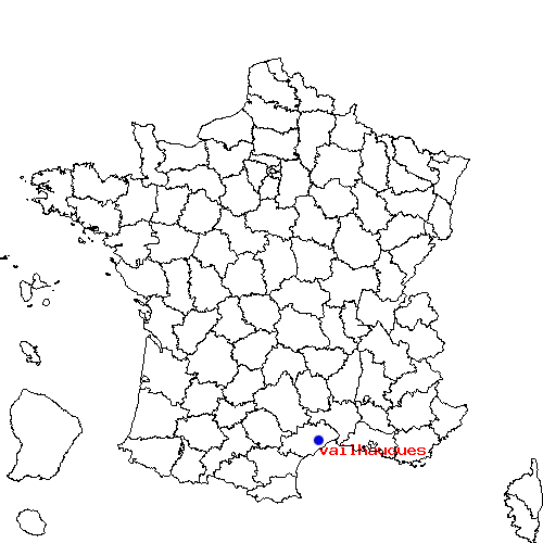 localisation sur le carte de vailhauques 