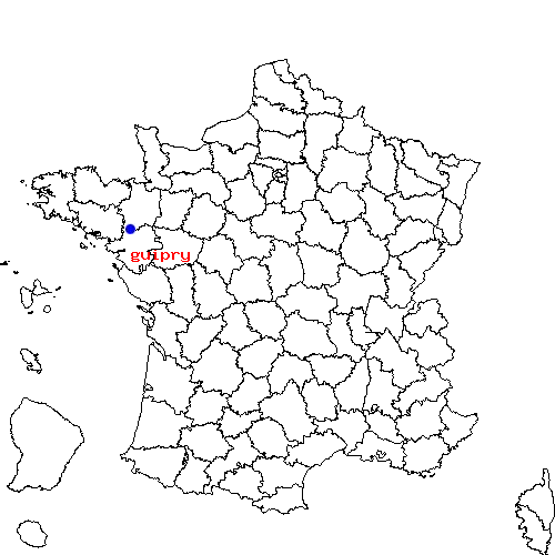 localisation sur le carte de guipry 