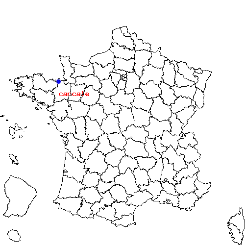 localisation sur le carte de cancale 