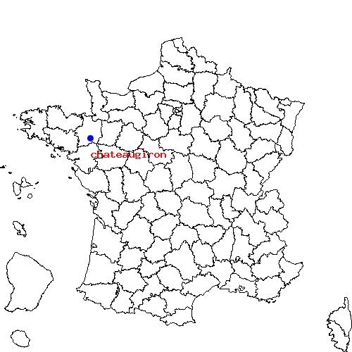 localisation sur le carte de chateaugiron 