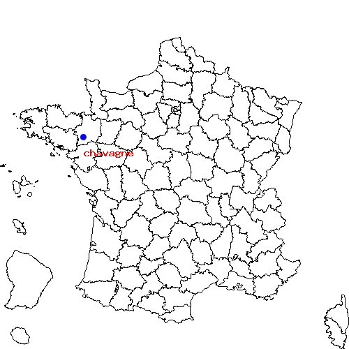 localisation sur le carte de chavagne 