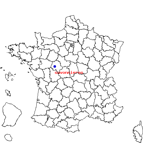 localisation sur le carte de savonnieres 