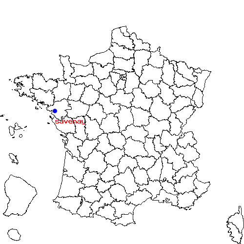 localisation sur le carte de savenay 