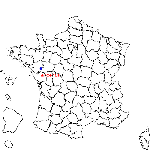 localisation sur le carte de ancenis 