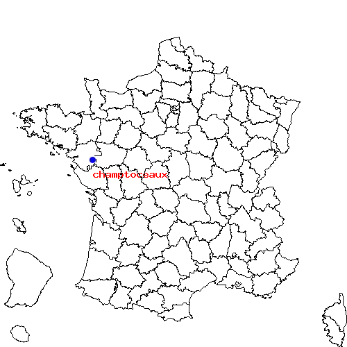 localisation sur le carte de champtoceaux 