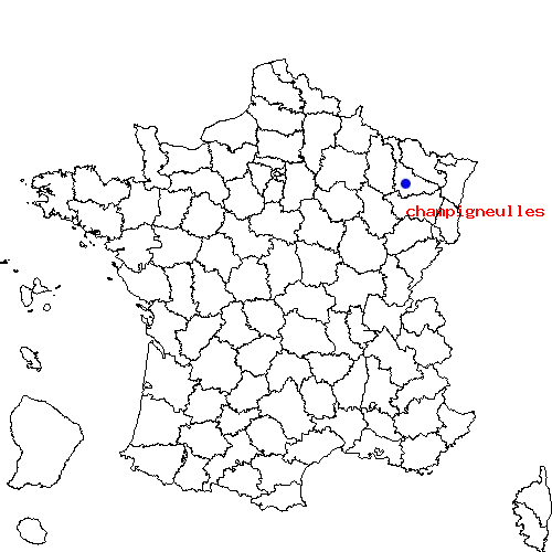 localisation sur le carte de champigneulles 