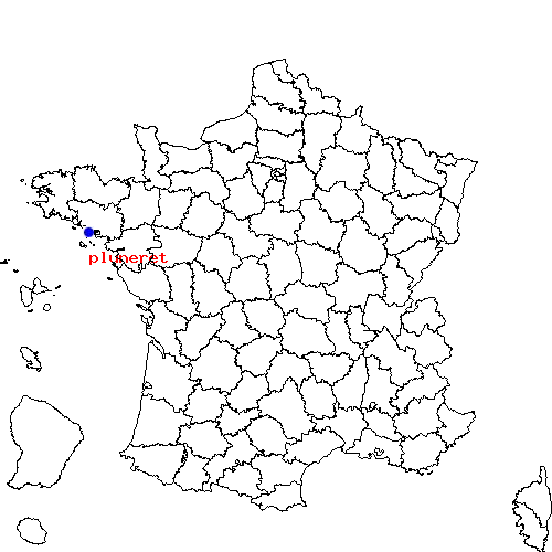 localisation sur le carte de pluneret 