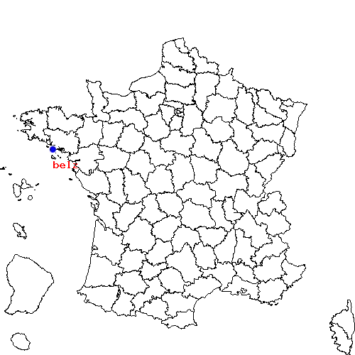 localisation sur le carte de belz 