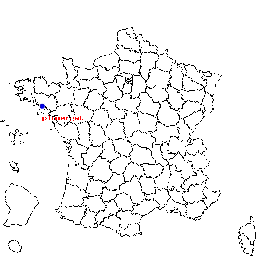 localisation sur le carte de plumergat 