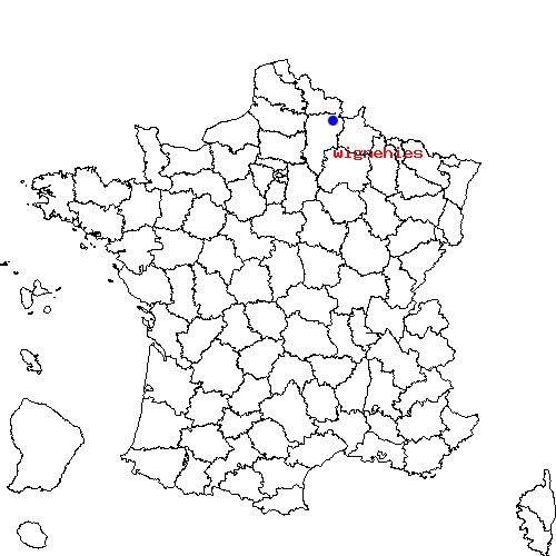 localisation sur le carte de wignehies 