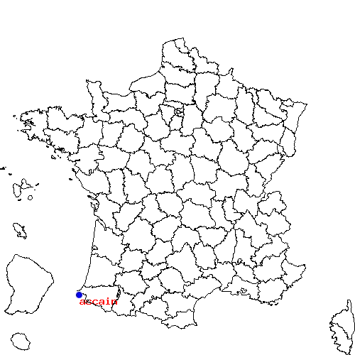 localisation sur le carte de ascain 