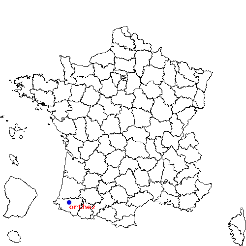 localisation sur le carte de orthez 