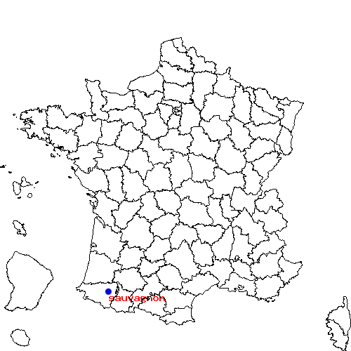 localisation sur le carte de sauvagnon 