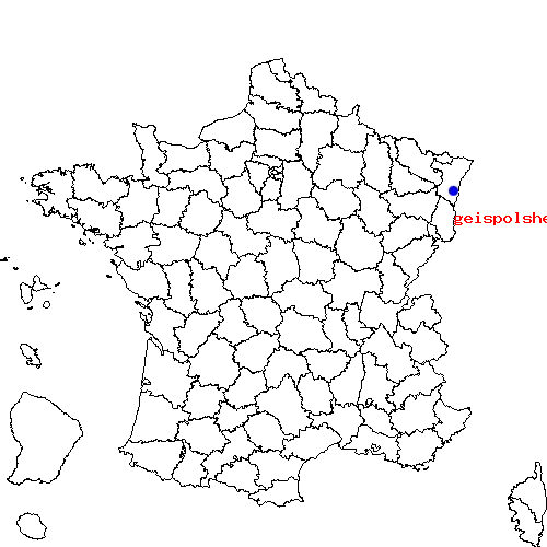 localisation sur le carte de geispolsheim 
