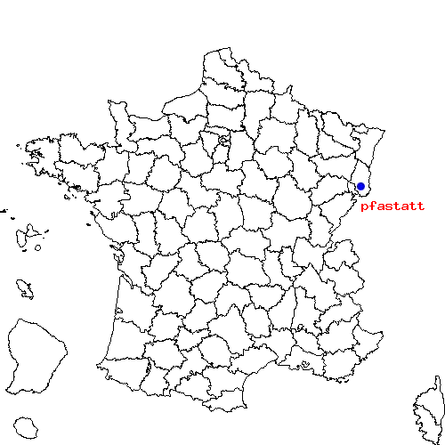 localisation sur le carte de pfastatt 