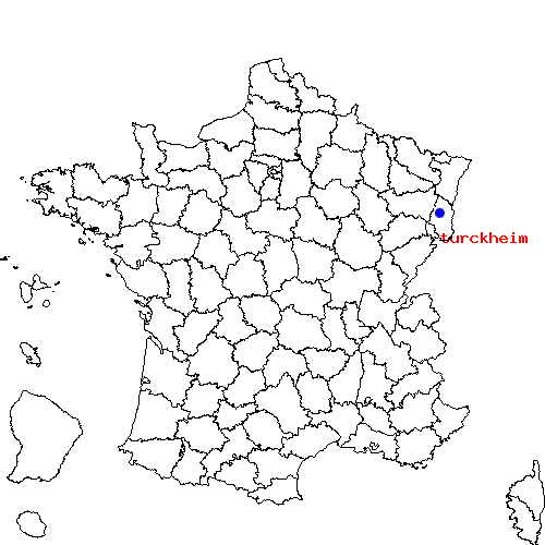 localisation sur le carte de turckheim 