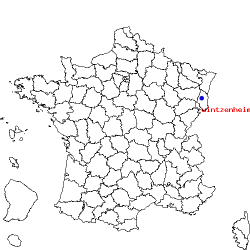 localisation sur le carte de wintzenheim 