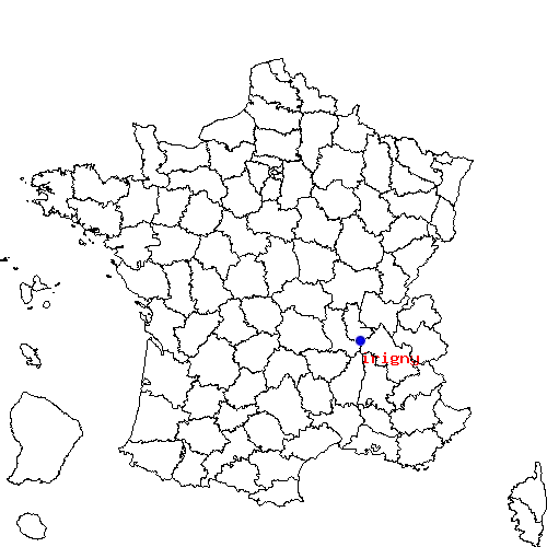 localisation sur le carte de irigny 