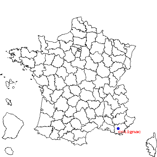 localisation sur le carte de cotignac 