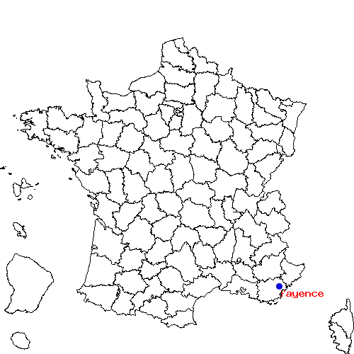 localisation sur le carte de fayence 