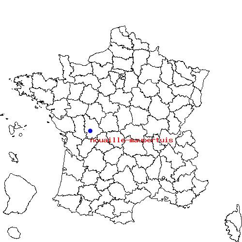 localisation sur le carte de nouaille-maupertuis 