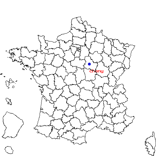 localisation sur le carte de cheny 